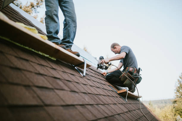 Best Roof Gutter Cleaning  in Oberlin, LA